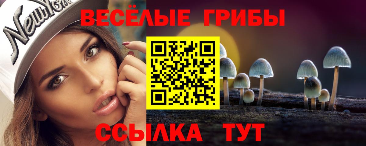 Галлюциногенные грибы Psilocybe  Галлюциногенные грибы Cubensis  Вход с VPN  Москва 